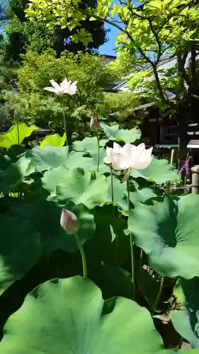 善光寺(長野県)