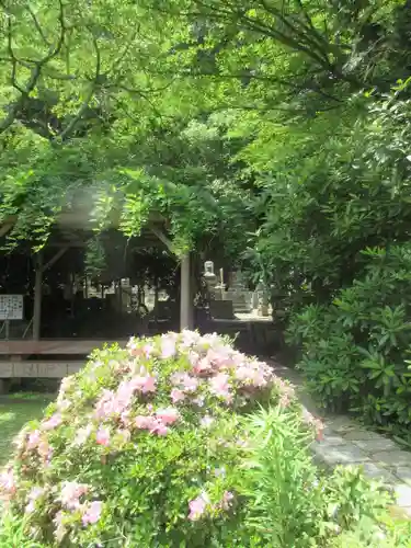 安國論寺（安国論寺）の庭園