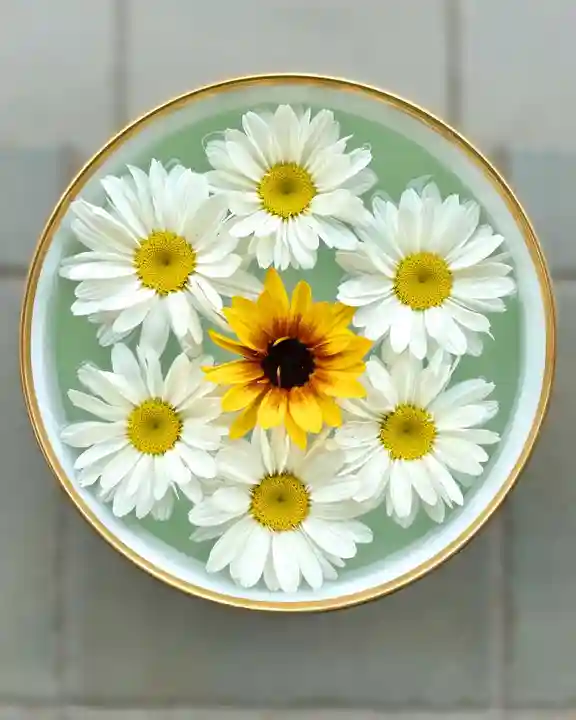 伊達神社の手水舎