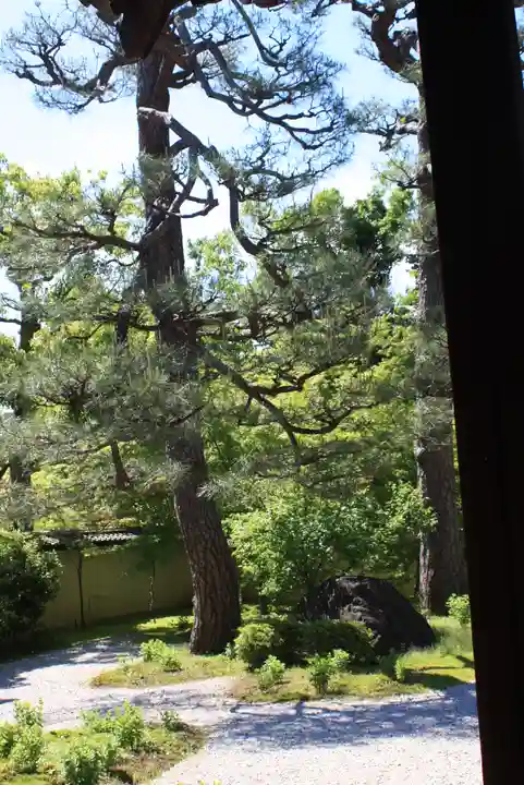 廬山寺(廬山天台講寺)(京都府)