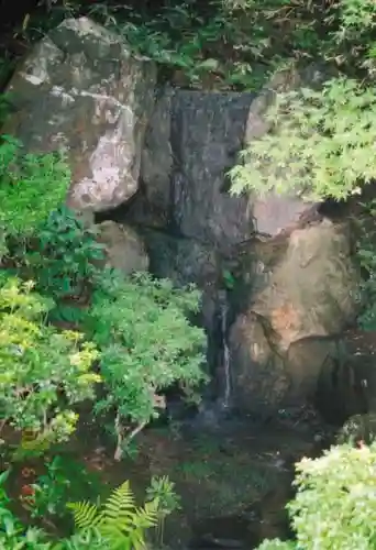 法金剛院の自然