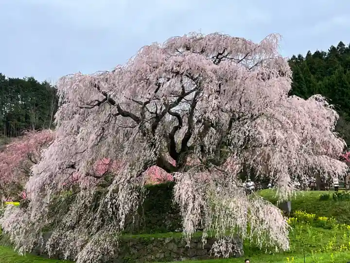 談山神社(奈良県)