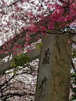 蔵前神社の{uncategorized: "未分類", other: "その他", undefined: "問題あり", building: "その他建物", grave: "お墓", sacred_gate: "鳥居", guardian: "狛犬", statue: "像", buddha: "仏像", history: "歴史", nature: "自然", garden: "庭園", animal: "動物", pagoda: "塔", temizu: "手水舎", mountain_gate: "山門・神門", sanctuary: "本殿・本堂", subordinate: "末社・摂社", art: "芸術", scenery: "景色", jizo: "地蔵", ema: "絵馬", goshuin: "御朱印", omikuji: "おみくじ", items: "授与品その他", amulet: "お守り", goshuincho: "御朱印帳", eats: "食事", festival: "お祭り", votive_dance: "神楽", shichigosan: "七五三参", wedding: "結婚式", experience: "体験その他", initially: "初詣", around: "周辺", anti_infection: "感染症対策"}