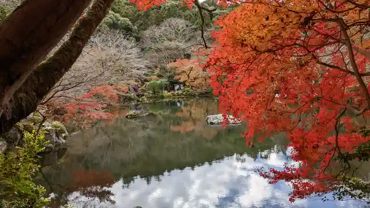 醍醐寺(京都府)