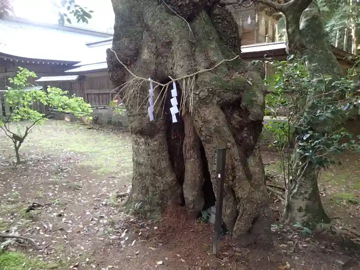 倭文神社のその他建物