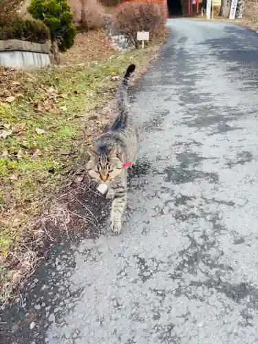 正一位 若草稲荷神社の{uncategorized: "未分類", other: "その他", undefined: "問題あり", building: "その他建物", grave: "お墓", sacred_gate: "鳥居", guardian: "狛犬", statue: "像", buddha: "仏像", history: "歴史", nature: "自然", garden: "庭園", animal: "動物", pagoda: "塔", temizu: "手水舎", mountain_gate: "山門・神門", sanctuary: "本殿・本堂", subordinate: "末社・摂社", art: "芸術", scenery: "景色", jizo: "地蔵", ema: "絵馬", goshuin: "御朱印", omikuji: "おみくじ", items: "授与品その他", amulet: "お守り", goshuincho: "御朱印帳", eats: "食事", festival: "お祭り", votive_dance: "神楽", shichigosan: "七五三参", wedding: "結婚式", experience: "体験その他", initially: "初詣", around: "周辺", anti_infection: "感染症対策"}
