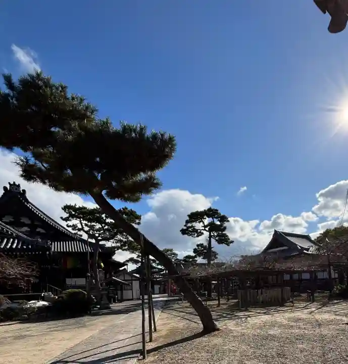 葛井寺の{uncategorized: "未分類", other: "その他", undefined: "問題あり", building: "その他建物", grave: "お墓", sacred_gate: "鳥居", guardian: "狛犬", statue: "像", buddha: "仏像", history: "歴史", nature: "自然", garden: "庭園", animal: "動物", pagoda: "塔", temizu: "手水舎", mountain_gate: "山門・神門", sanctuary: "本殿・本堂", subordinate: "末社・摂社", art: "芸術", scenery: "景色", jizo: "地蔵", ema: "絵馬", goshuin: "御朱印", omikuji: "おみくじ", items: "授与品その他", amulet: "お守り", goshuincho: "御朱印帳", eats: "食事", festival: "お祭り", votive_dance: "神楽", shichigosan: "七五三参", wedding: "結婚式", experience: "体験その他", initially: "初詣", around: "周辺", anti_infection: "感染症対策"}