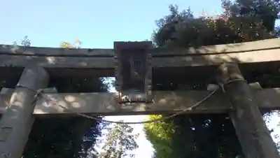 蓮根氷川神社の鳥居