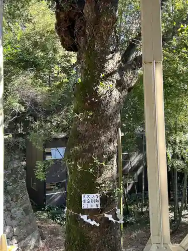 久能山東照宮(静岡県)