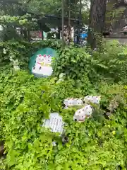 今戸神社(東京都)