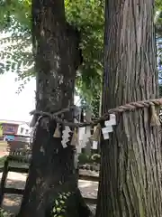 春日神社(福井県)