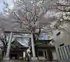 浅草富士浅間神社(東京都)