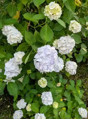 長弓寺(奈良県)