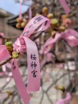 桜神宮(東京都)