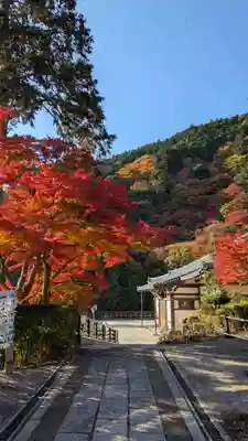 善峯寺(京都府)