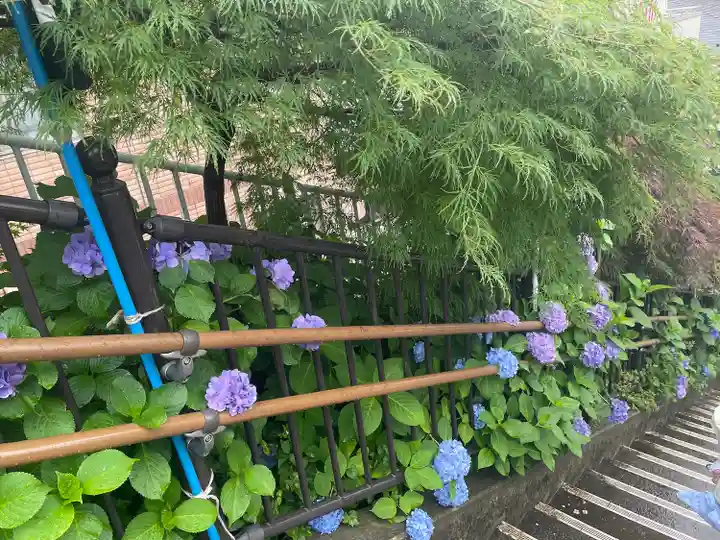 白山神社(東京都)