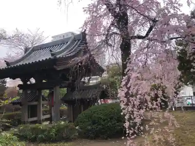 栽松院の{uncategorized: "未分類", other: "その他", undefined: "問題あり", building: "その他建物", grave: "お墓", sacred_gate: "鳥居", guardian: "狛犬", statue: "像", buddha: "仏像", history: "歴史", nature: "自然", garden: "庭園", animal: "動物", pagoda: "塔", temizu: "手水舎", mountain_gate: "山門・神門", sanctuary: "本殿・本堂", subordinate: "末社・摂社", art: "芸術", scenery: "景色", jizo: "地蔵", ema: "絵馬", goshuin: "御朱印", omikuji: "おみくじ", items: "授与品その他", amulet: "お守り", goshuincho: "御朱印帳", eats: "食事", festival: "お祭り", votive_dance: "神楽", shichigosan: "七五三参", wedding: "結婚式", experience: "体験その他", initially: "初詣", around: "周辺", anti_infection: "感染症対策"}