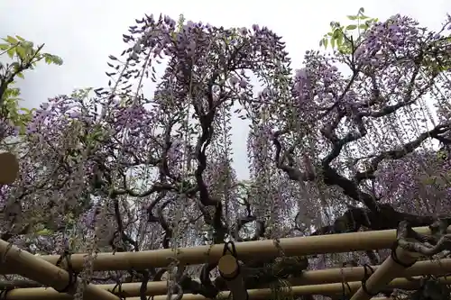 春日大社の庭園