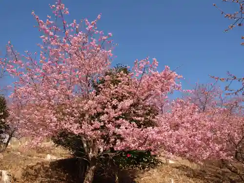 楽法寺（雨引観音）の自然