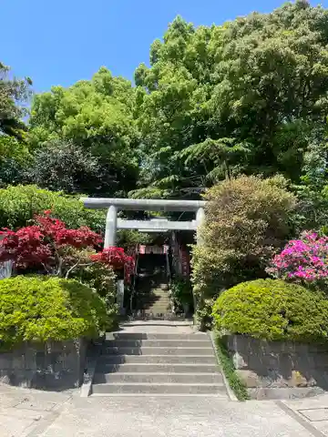 三浦正八幡宮の鳥居