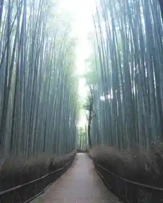 野宮神社のその他建物