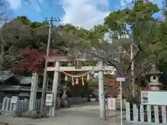 富部神社(愛知県)