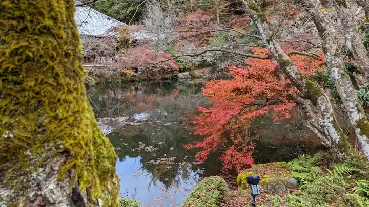 醍醐寺(京都府)
