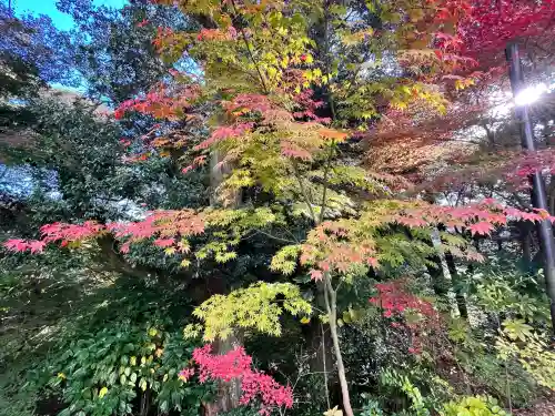 善水寺(滋賀県)