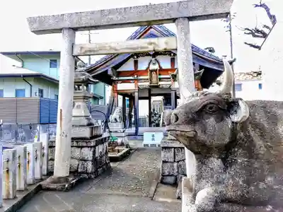 八劔社(土古町)の狛犬