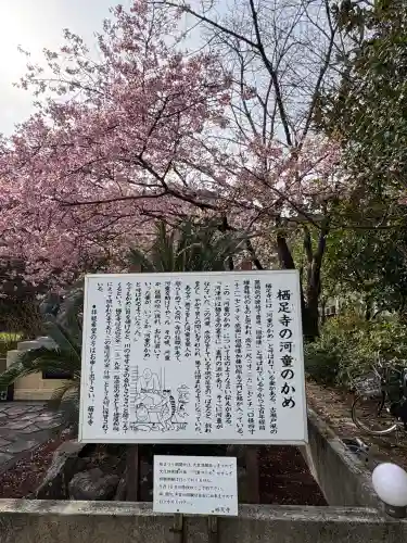 かっぱの寺 栖足寺の{uncategorized: "未分類", other: "その他", undefined: "問題あり", building: "その他建物", grave: "お墓", sacred_gate: "鳥居", guardian: "狛犬", statue: "像", buddha: "仏像", history: "歴史", nature: "自然", garden: "庭園", animal: "動物", pagoda: "塔", temizu: "手水舎", mountain_gate: "山門・神門", sanctuary: "本殿・本堂", subordinate: "末社・摂社", art: "芸術", scenery: "景色", jizo: "地蔵", ema: "絵馬", goshuin: "御朱印", omikuji: "おみくじ", items: "授与品その他", amulet: "お守り", goshuincho: "御朱印帳", eats: "食事", festival: "お祭り", votive_dance: "神楽", shichigosan: "七五三参", wedding: "結婚式", experience: "体験その他", initially: "初詣", around: "周辺", anti_infection: "感染症対策"}