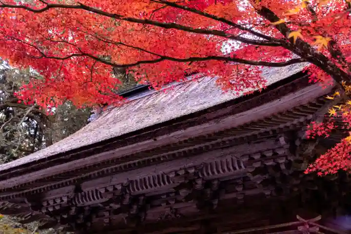 大矢田神社(岐阜県)