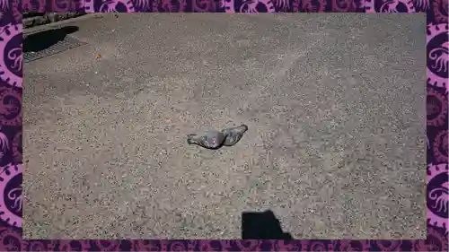 浅草寺(東京都)