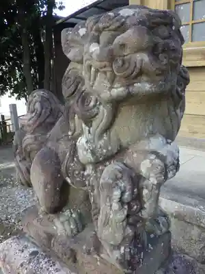 白山神社（小幡）の狛犬