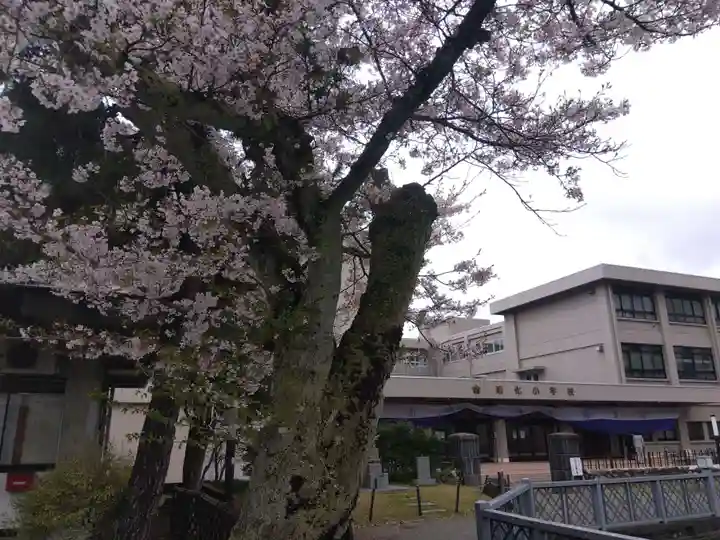 福井神社(福井県)