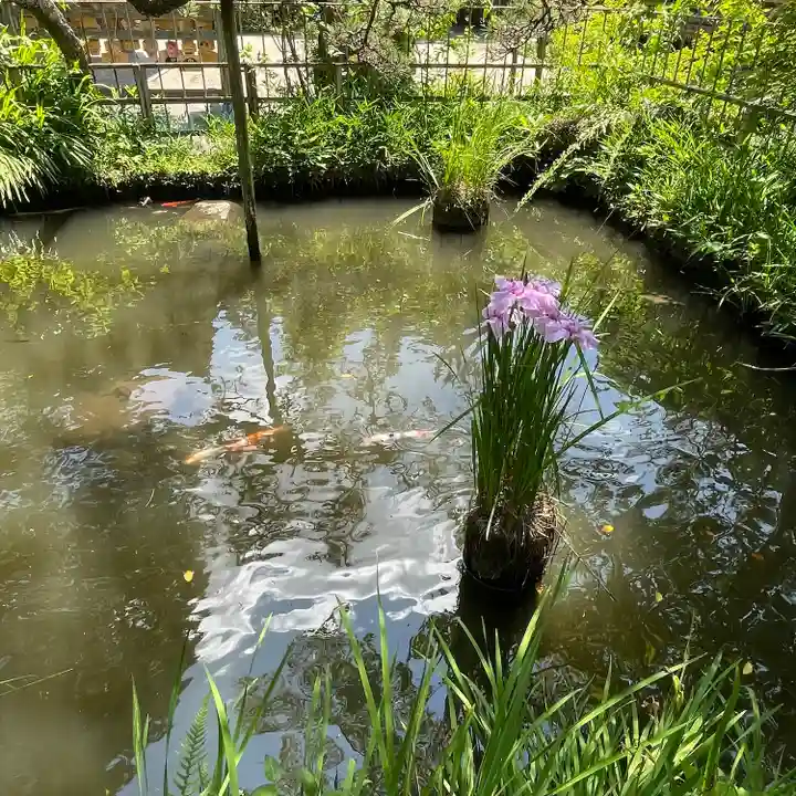 猿投神社の自然