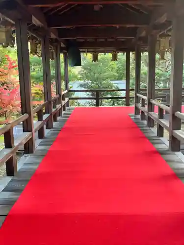 光明寺（粟生光明寺）(京都府)