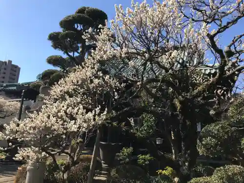 福泉寺(神奈川県)