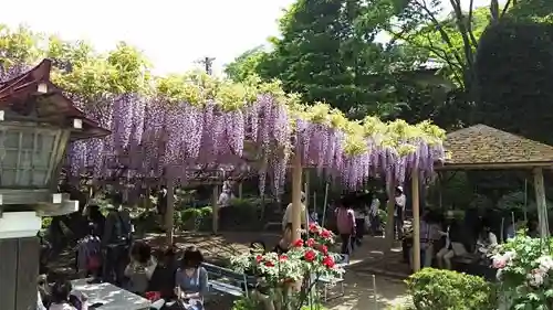 金蛇水神社の庭園