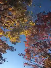 豊平神社の自然