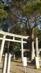 都々古別神社(八槻)(福島県)