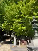 熊野大社の自然