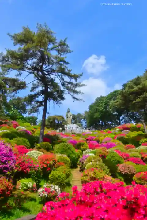 塩船観音寺(東京都)