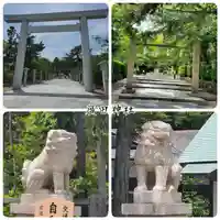 廣田神社の狛犬