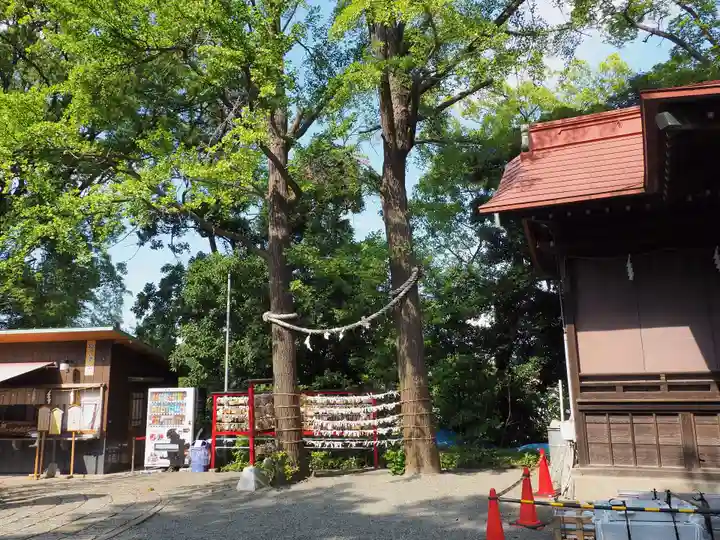 多摩川浅間神社(東京都)