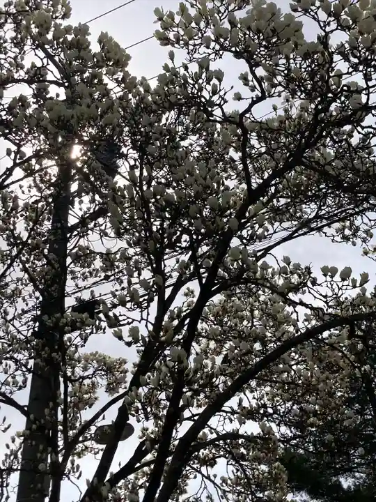 穂高神社本宮(長野県)