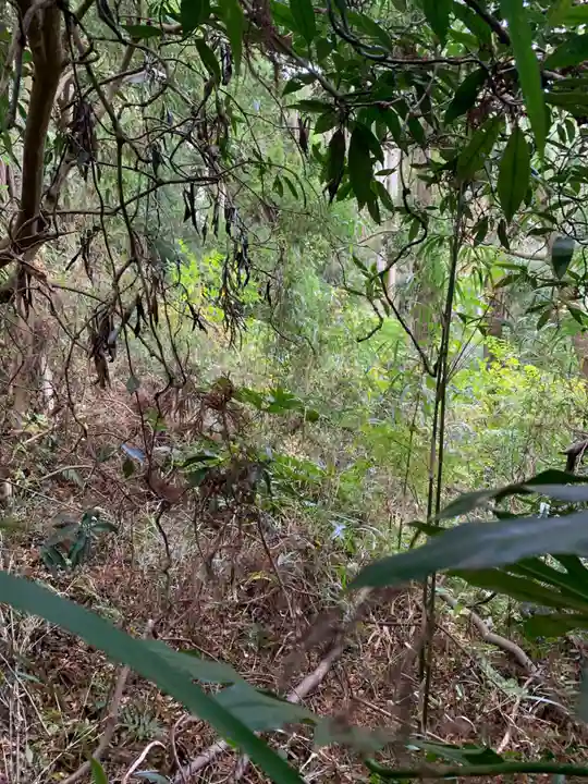 山王大権現(千葉県)