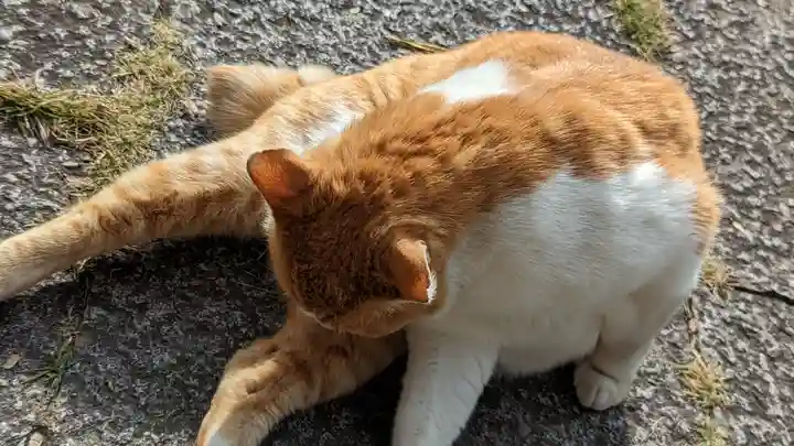 乗願寺(京都府)