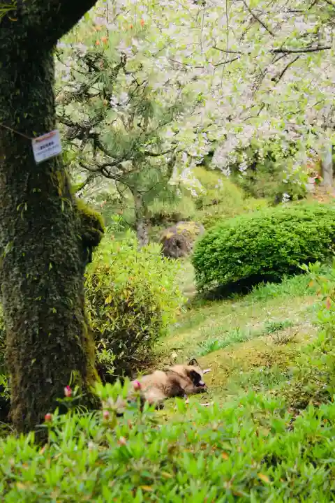 平安神宮(京都府)