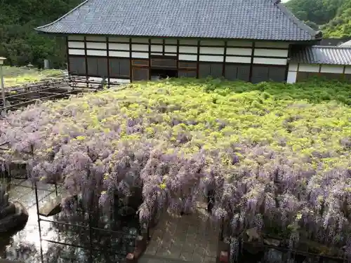 長泉寺の景色