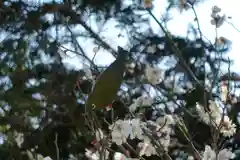 菅原天満宮（菅原神社）(奈良県)